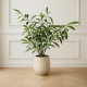 Artificial Plant